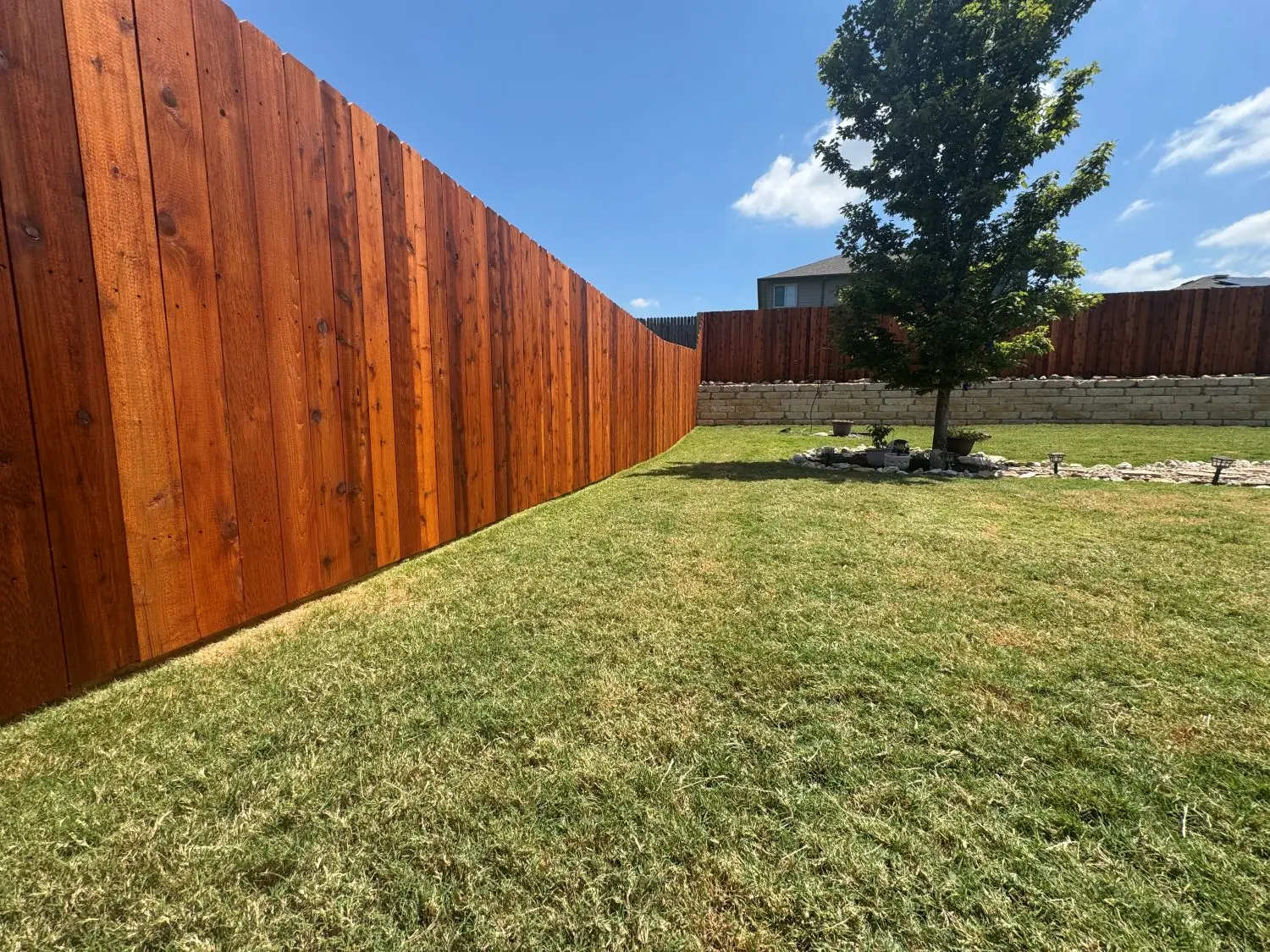 Affordable Fence Staining Services in Georgetown: What Homeowners Should Know