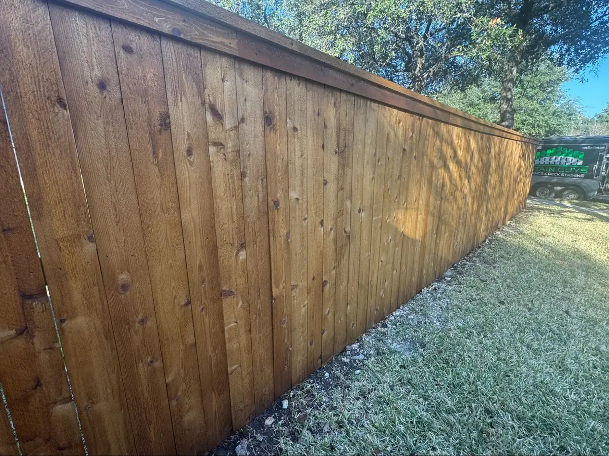 A side-angle close-up of a vibrant, golden-brown stained wood privacy fence bordering a green lawn, showcasing a properly maintained surface that extends the structure's overall lifespan.