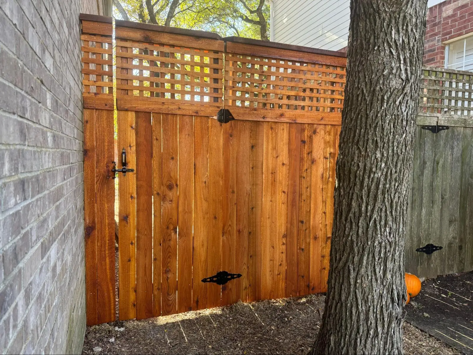Fence Staining in Georgetown, TX: Why Moisture Levels Matter Before Applying Stain
