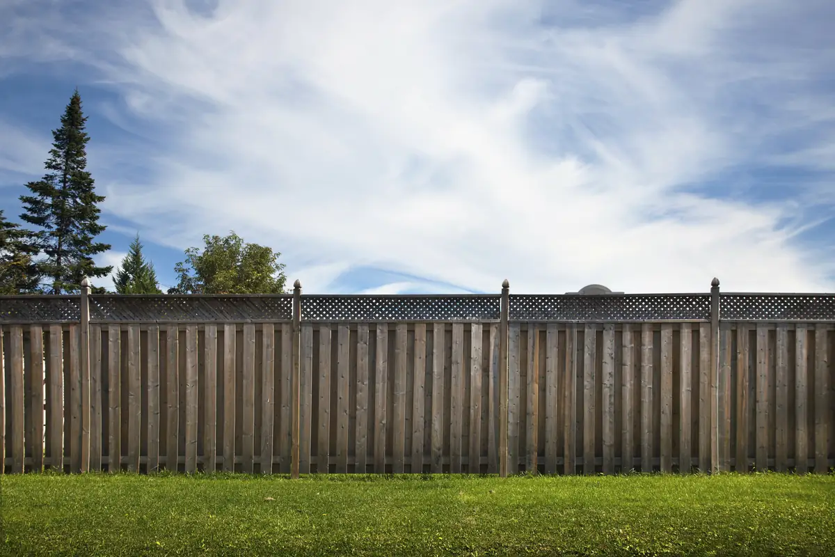How Professional Fence Cleaning Completely Transforms Your Wood Fence
