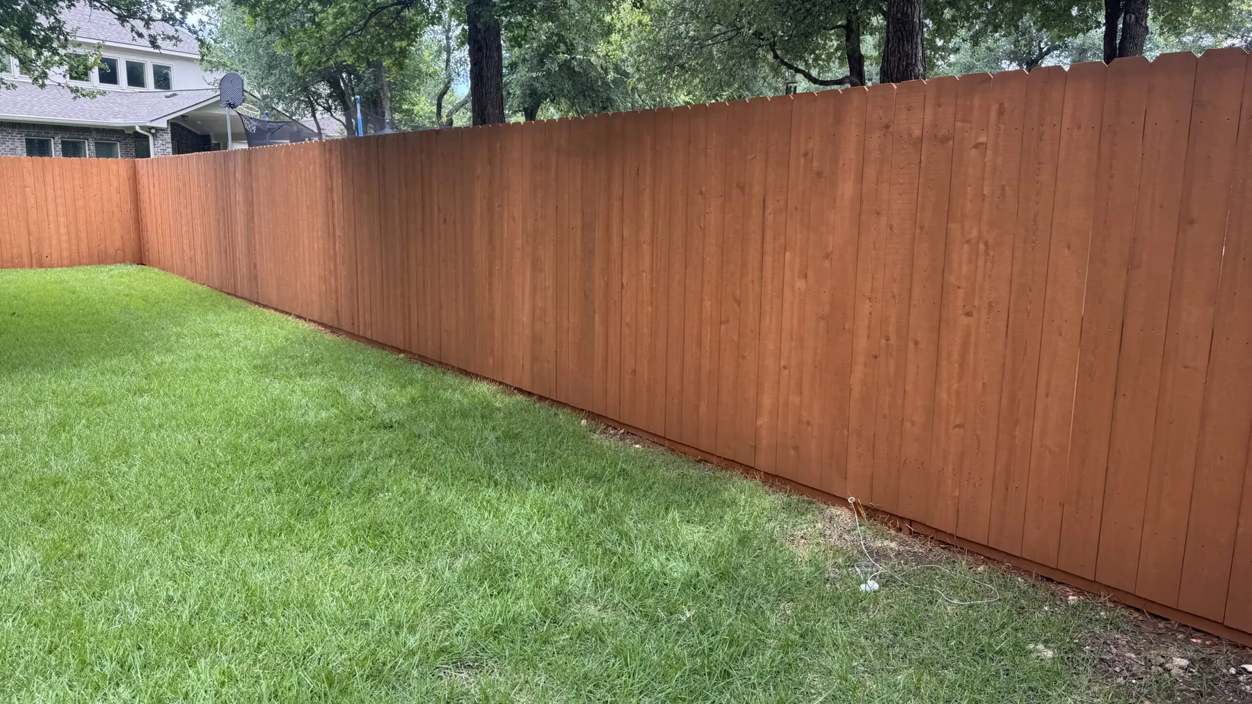 A freshly stained cedar fence in Georgetown, TX